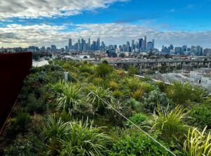 A biodiverse green roof was built on top of a seven-story commercial office space in Kensington, Victoria